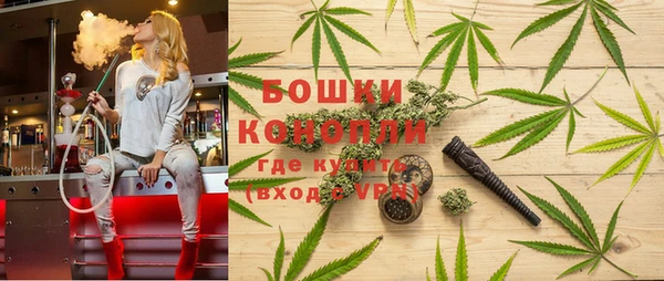 крисы Белоозёрский