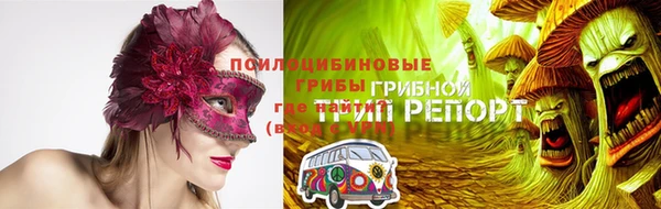 крисы Белоозёрский