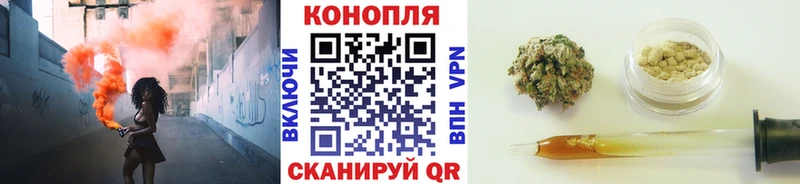 закладка  Вяземский  Марихуана сатива 